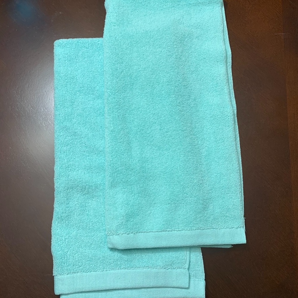 Norwex Sea Mist Hand Towels Pair